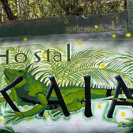 Hostal Kaia Santa Marta  Extérieur photo