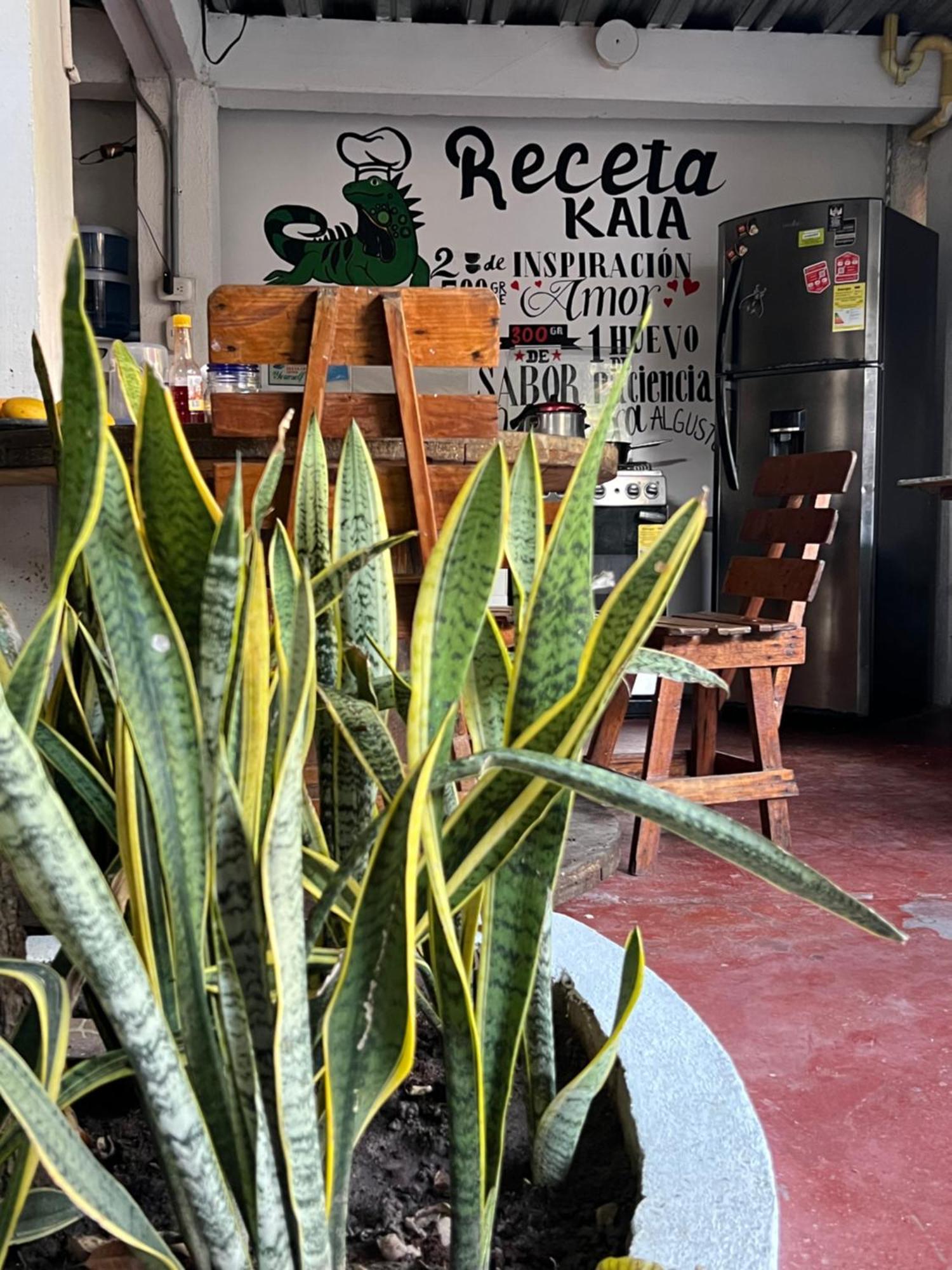 Hostal Kaia Santa Marta  Extérieur photo