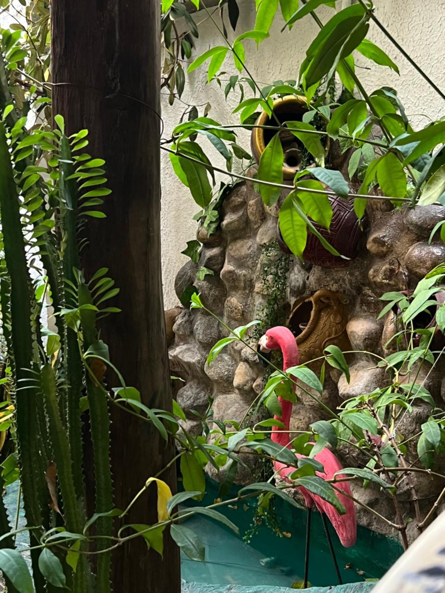 Hostal Kaia Santa Marta  Extérieur photo
